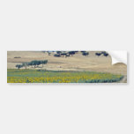 yellow Sunflower field in Portugal flowers Bumper Stickers