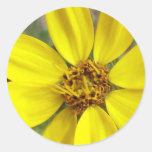 Yellow sunflower sticker