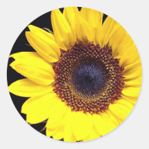 Yellow sunflower sticker