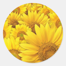 Yellow Sunflowers Sticker