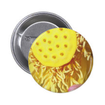 yellow Sunshine flowers Pinback Buttons