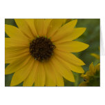Yellow Supprise Greeting Card