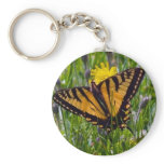 Yellow Swallowtail Butterfly keychains