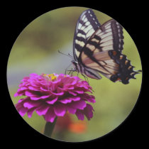 Yellow Swallowtail Butterfly stickers