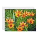 yellow Tiger lilies flowers invitations