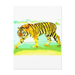 Yellow Tiger postcards