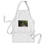 Yellow Town gardens at St. Ives, Cornwall, England aprons