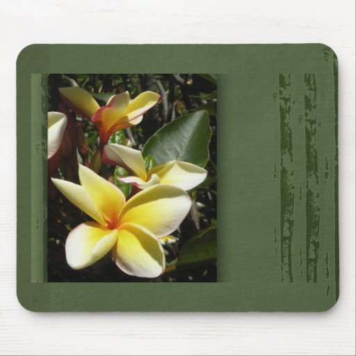 Yellow tropical plumeria flower mouse pad