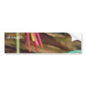 Yellow trout lily bumper stickers