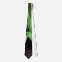 Yellow trout lily ties