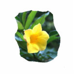 Yellow Trumpet Flower Photograph photo sculptures