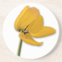 yellow tulip beverage coaster