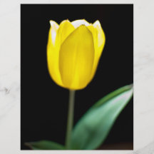 Yellow tulip custom flyer