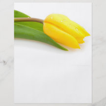 Yellow tulip full color flyer