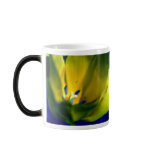 Yellow Tulip Morphing Mug