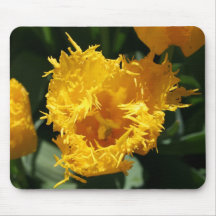 Yellow Tulip Mouse Pads