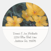 Yellow Tulips Address Stickers