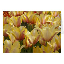 Yellow Tulips Card