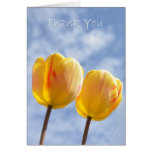 Yellow Tulips in the sky Cards