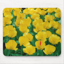 Yellow Tulips Mousepad