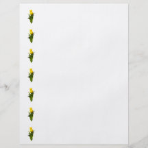 Yellow Tulips Tall and Short Custom Flyer