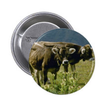 yellow Two cows flowers Pinback Button