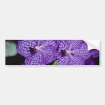 Yellow Vanda flowers Bumper Stickers