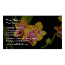 yellow Vanda flowers Business Cards