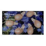 Yellow Violet seeds (Viola papilionacea) flowers Business Card