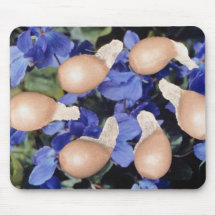 Yellow Violet seeds (Viola papilionacea) flowers Mousepads