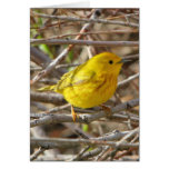 Yellow Warbler Card