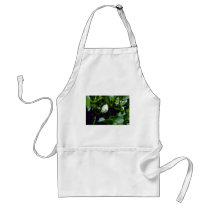 Yellow Water-Arum (Calla Palustris Var. Polysthace Aprons