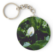 Yellow Water-Arum (Calla Palustris Var. Polysthace Keychain