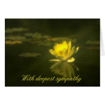Yellow Waterlily Condolence Card