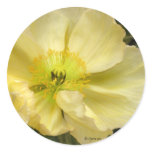 Yellow Wedding Flowers Invitation Seals Stickers