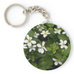 Yellow White Violet (Viola Canadensis) flowers keychains