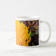 Yellow Wild Mushroom Coffee Mugs