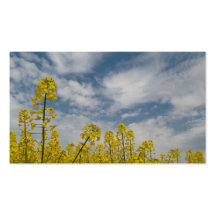 Yellow Wildflowers in the Sky Business Card