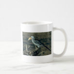 Yellowbilled Hornbill Mug