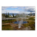 Yellowstone National Park cards