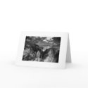 "Yellowstone National Park" cards