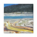 Yellowstone National Park magnets
