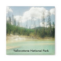 Yellowstone National Park magnets