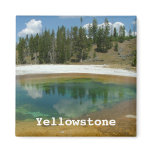 Yellowstone National Park magnets