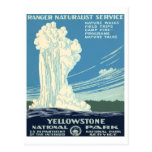 Yellowstone National Park Post Card