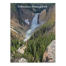 Yellowstone National Park Scenic View Postcard