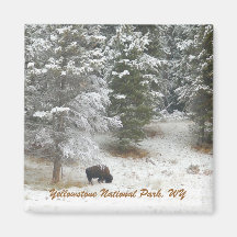 Yellowstone National Park, WY Refrigerator Magnets