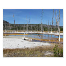 YellowStone pool Photo Print