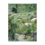 Yellowstone Summer postcards