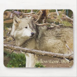 Yellowstone Wolf mousepads